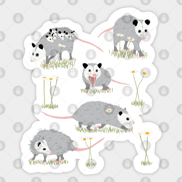 Opossums and Daisies Sticker by ahadden